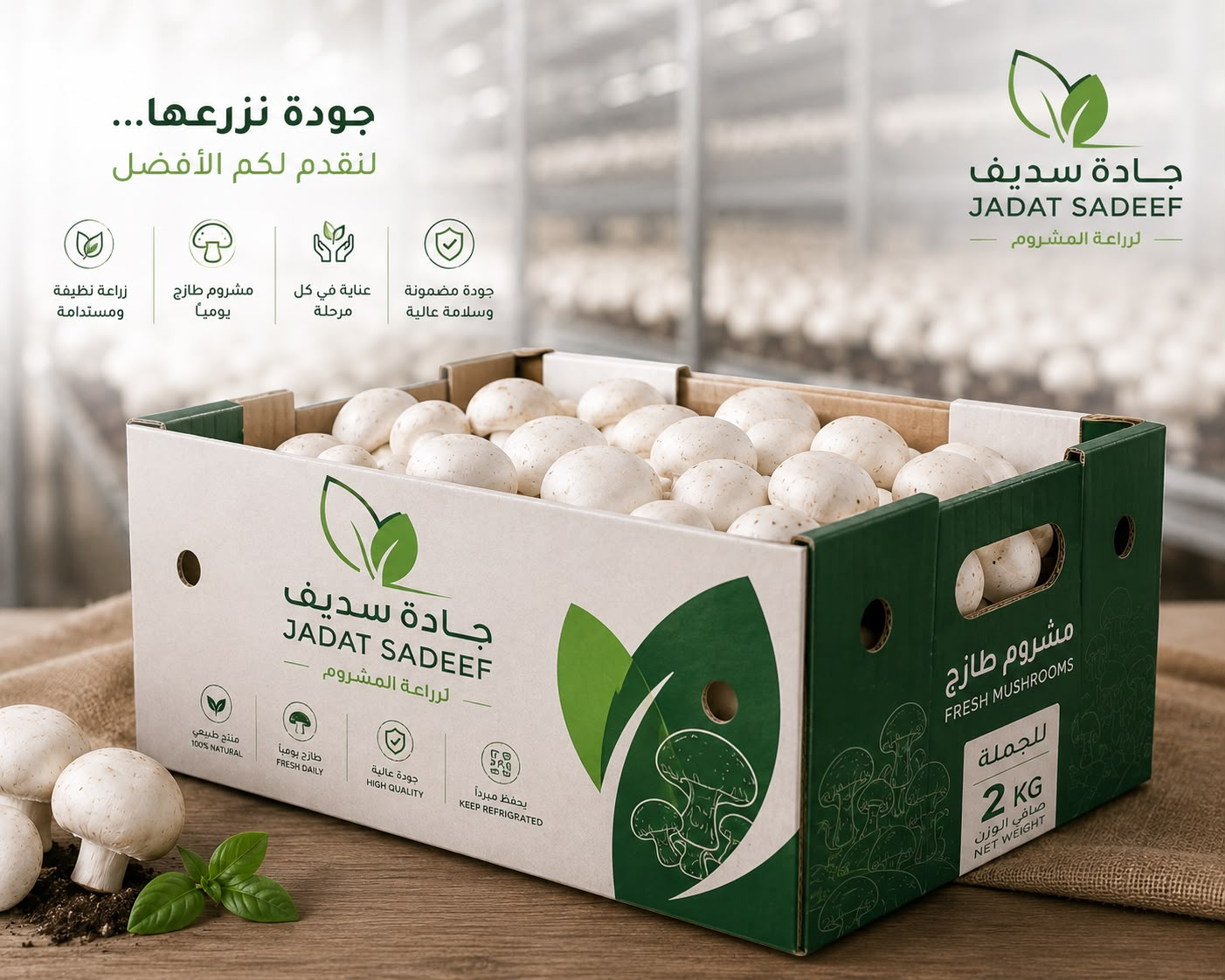 Jadat Sadeef wholesale fresh mushrooms box